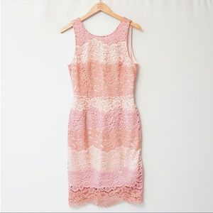 Tahari Pink Blush Color Block Floral-Lace Dress